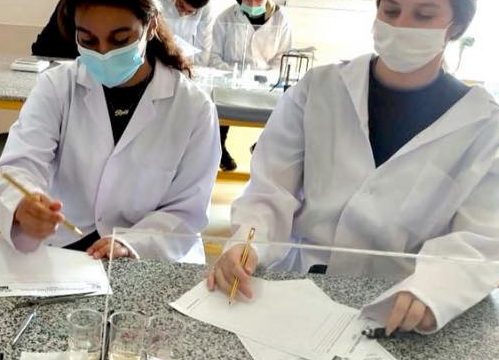 Investigation of osmosis in a potato tissue across the cell membrane