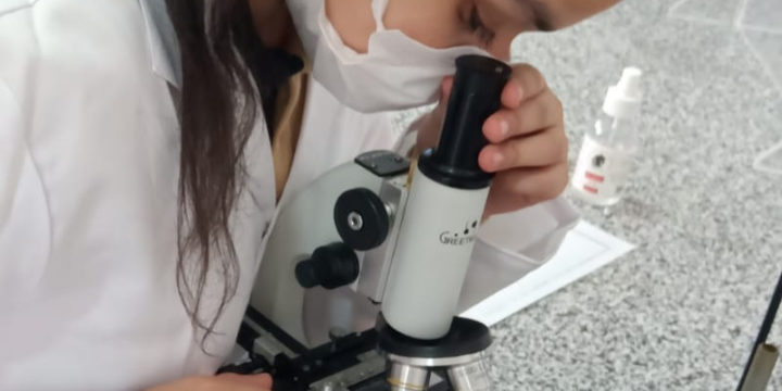 Year 7 identify the parts of microscope