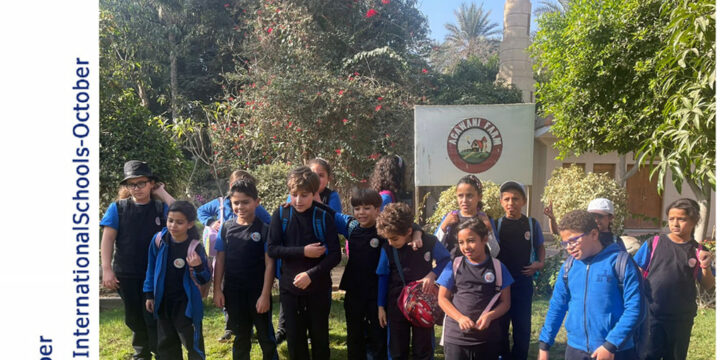 Going on a field trip enhances critical thinking, self confidence and independence.