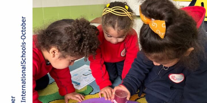 We play to learn and we learn to play