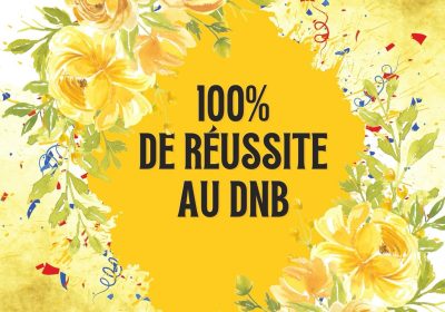 RESULTATS DNB SESSION 2025