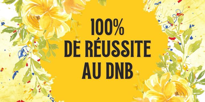 RESULTATS DNB SESSION 2025